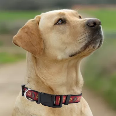 Pets First Atlanta United Satin Collar - Image 4