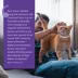 Vetality Harmony Pet Calming Collar for Cats 1ct image thumbnail 5