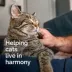 Vetality Harmony Pet Calming Home Diffuser Refills for Cats 2ct image thumbnail 8