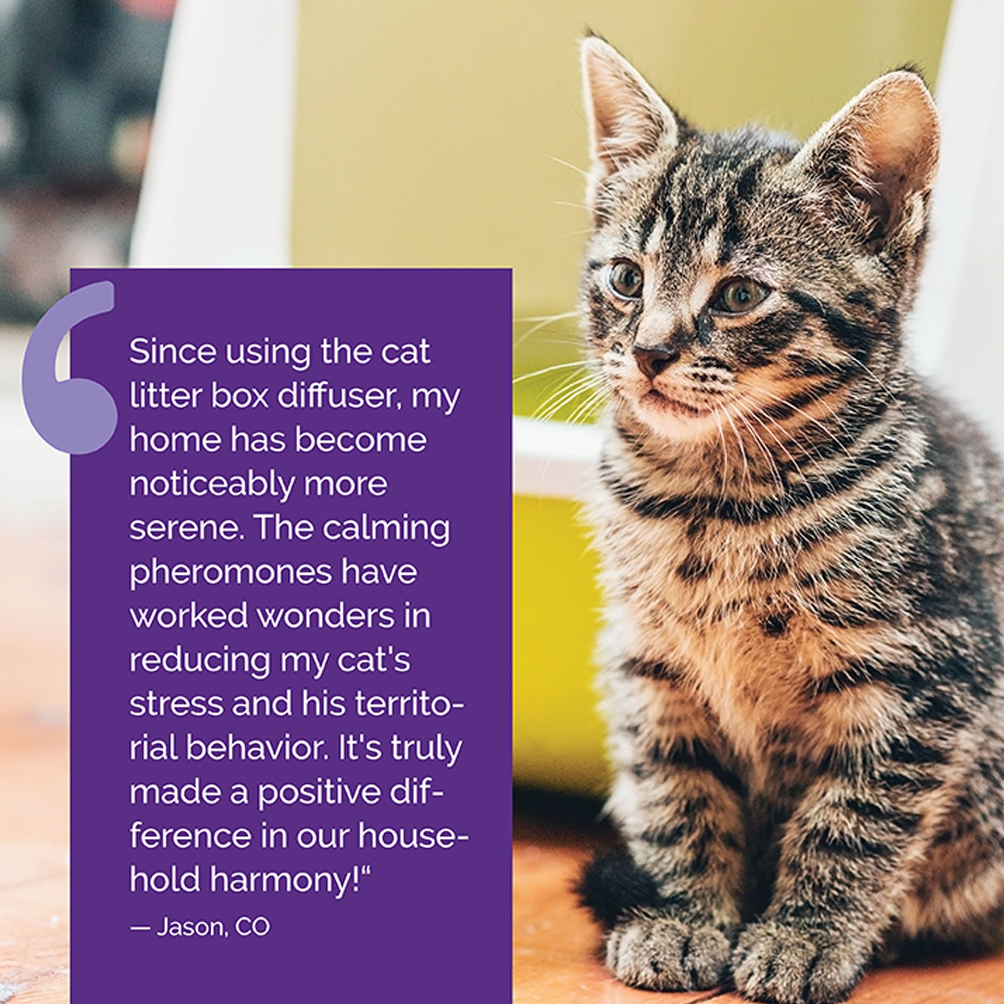 Vetality Cat Harmony Pet Calming Litter Box Diffuser Lavender Scent, 1 Count - thumbnail 6
