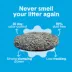 Boxiecat Scent Free Clumping Clay Cat Litter, Low Dust, No Tracking image thumbnail 3
