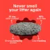 Boxiecat Extra Strength Clumping Clay Cat Litter, Multi-Cat, Low Dust, No Tracking image thumbnail 3