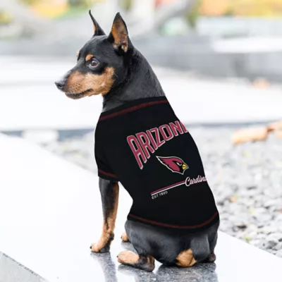 Pets First Arizona Cardinals Bold City Tee - Image 2