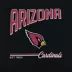 Pets First Arizona Cardinals Bold City Tee image thumbnail 3