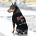 Pets First Atlanta Falcons Bold City Tee image thumbnail 3