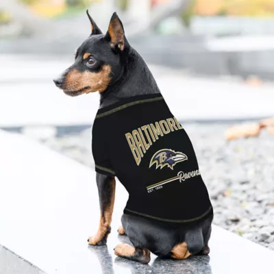 Pets First Baltimore Ravens Bold City Tee - Image 3