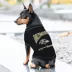Pets First Baltimore Ravens Bold City Tee image thumbnail 3