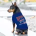 Pets First Buffalo Bills Bold City Tee image thumbnail 3