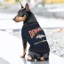 Pets First Denver Broncos Bold City Tee image thumbnail 3