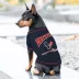 Pets First Houston Texans Bold City Tee image thumbnail 3