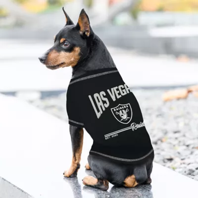 Pets First Las Vegas Raiders Bold City Tee - Image 3