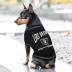 Pets First Las Vegas Raiders Bold City Tee image thumbnail 3