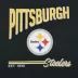 Pets First Pittsburgh Steelers Bold T-Shirt image thumbnail 2