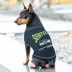 Pets First Seattle Seahawks Bold T-Shirt image thumbnail 2