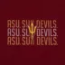 Pets First Arizona State University Tee image thumbnail 4