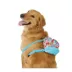 Life of the Party® Rainbow Dog Backpack image thumbnail 1