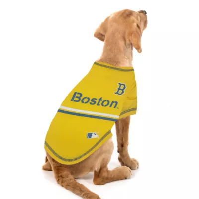 Pets First Boston Red Sox City Connect Tee - Image 3