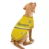 Pets First Boston Red Sox City Connect Tee image thumbnail 3