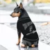 Pets First San Antonio Spurs Bold City T-Shirt image thumbnail 3