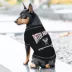 Pets First Inter Miami CF Bold City Tee image thumbnail 3