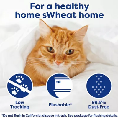 sWheat Scoop Triple Action Multi-Cat Wheat Litter - Unscented, Low Dust, Natural, Eco-Friendly - Image 6