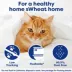 sWheat Scoop Triple Action Multi-Cat Wheat Litter - Unscented, Low Dust, Natural, Eco-Friendly image thumbnail 6