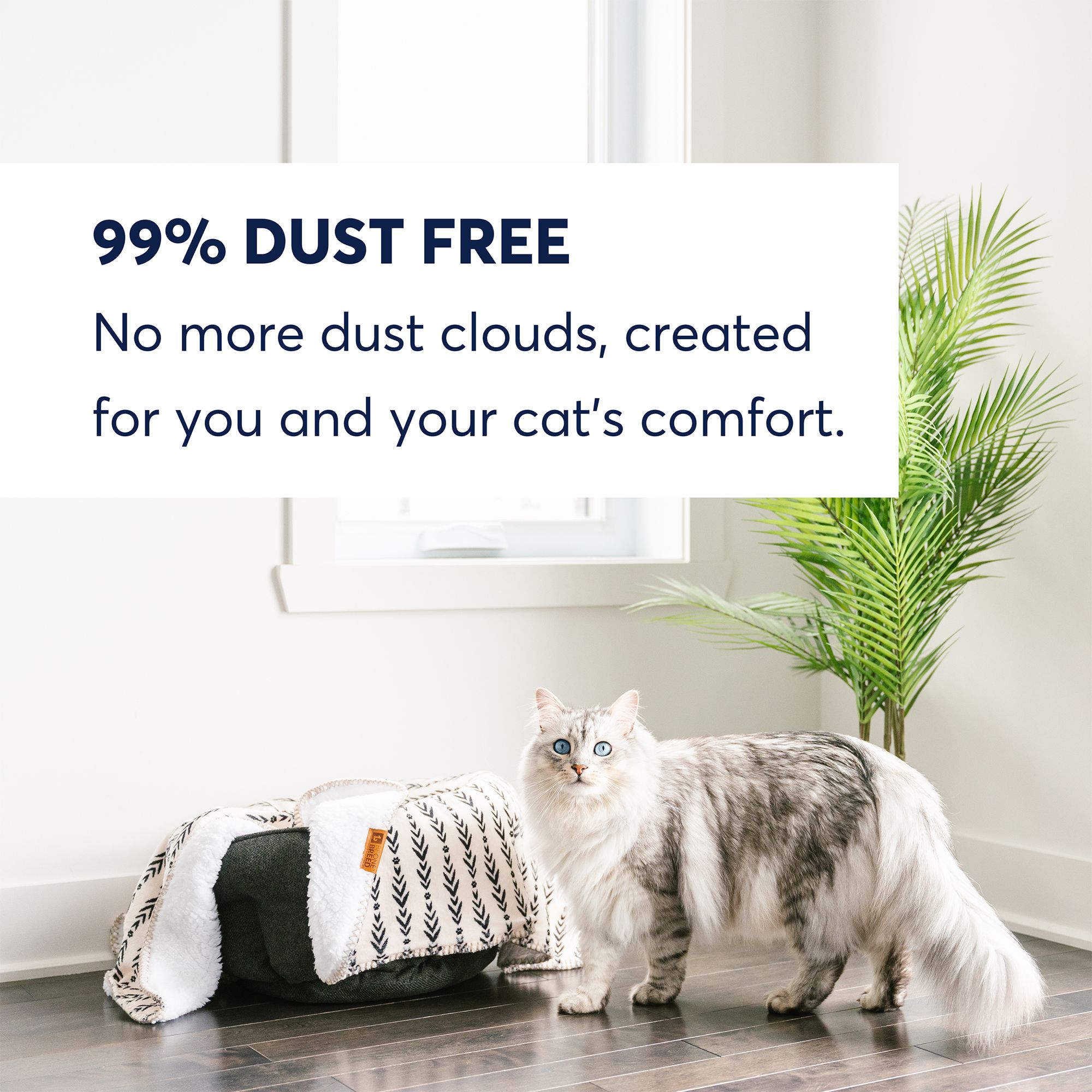 OdorLock Multi-Cat Clay Cat Litter - Odor Control, Unscented, Clumping, 25Lb - thumbnail 4