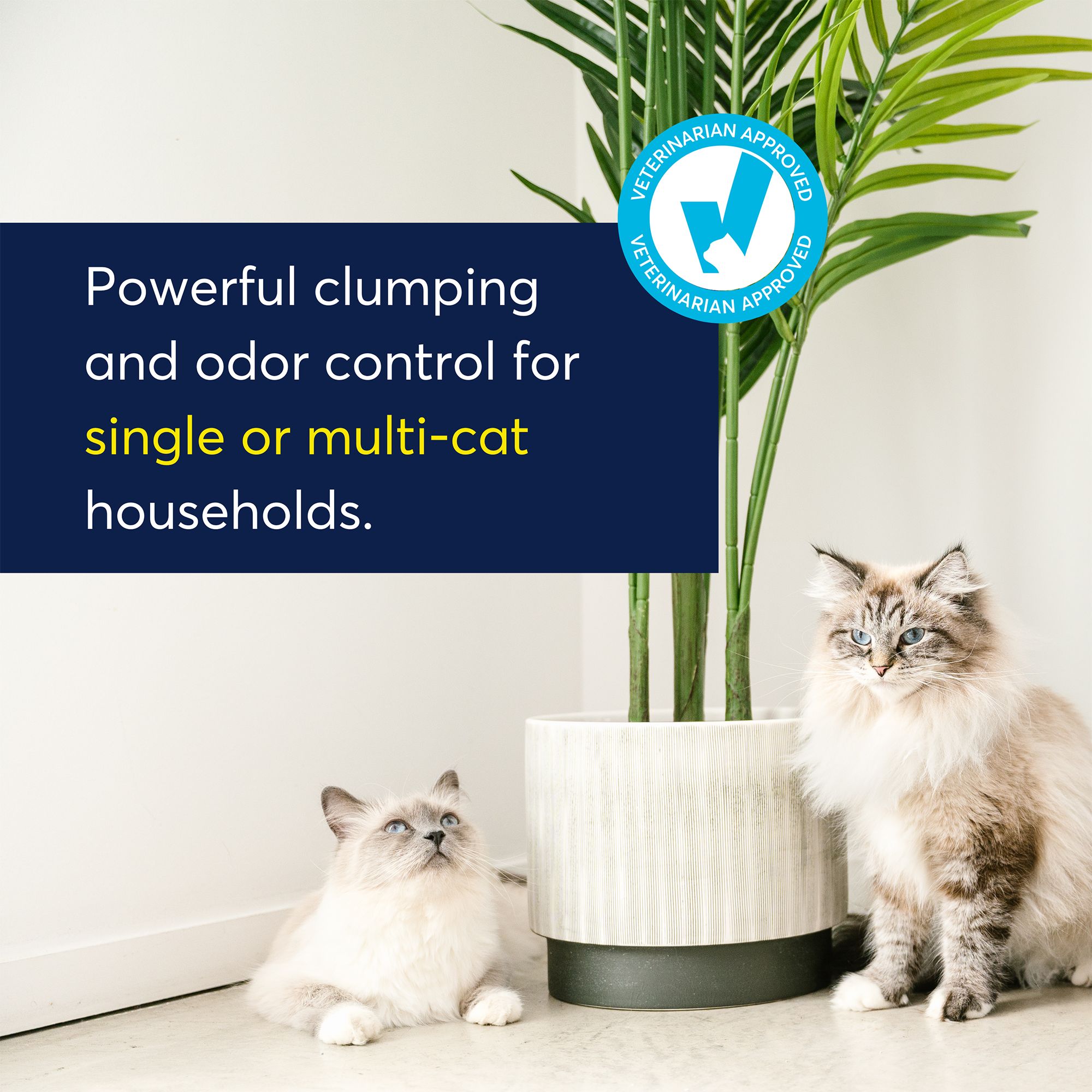 OdorLock Multi-Cat Clay Cat Litter - Odor Control, Unscented, Clumping, 25Lb - thumbnail 5