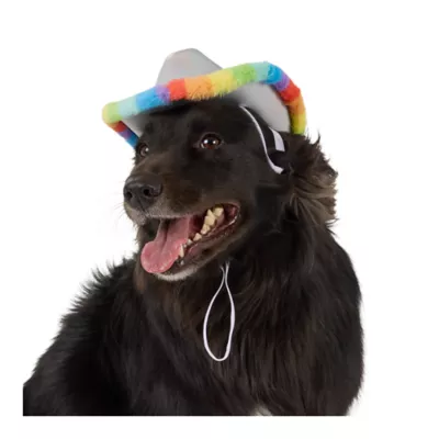 Life of the Party® Silver Cowboy Hat for Dogs - Image 1
