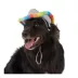 Life of the Party® Silver Cowboy Hat for Dogs image thumbnail 1