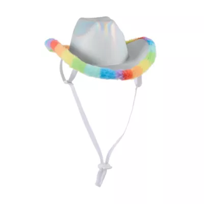Life of the Party® Silver Cowboy Hat for Dogs - Image 2