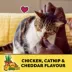 Temptations Mix-Ups Adult Cat Treats Chicken, Catnip & Cheese Flavour image thumbnail 2