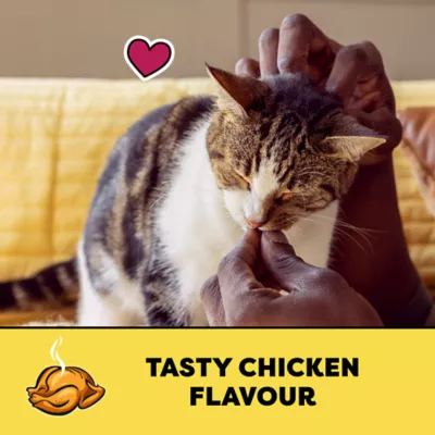 Temptations Adult Cat Treats Chicken Flavour - Image 2