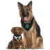 Pets First Austin FC Reversible Bandana image thumbnail 2