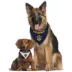 Pets First LA Galaxy Reversible Bandana image thumbnail 2