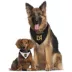 Pets First Los Angeles FC Reversible Bandana image thumbnail 2