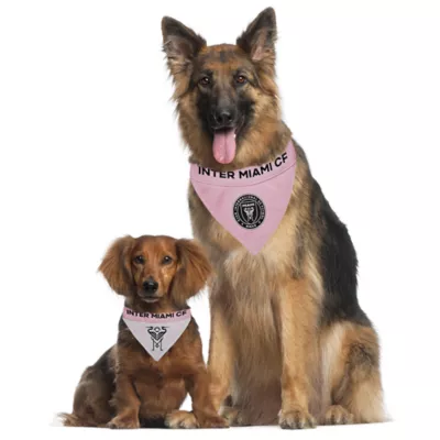 Pets First Inter Miami CF Reversible Bandana - Image 2