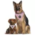 Pets First Inter Miami CF Reversible Bandana image thumbnail 2