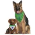 Pets First Seattle Sounders FC Reversible Bandana image thumbnail 2
