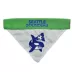Pets First Seattle Sounders FC Reversible Bandana image thumbnail 4