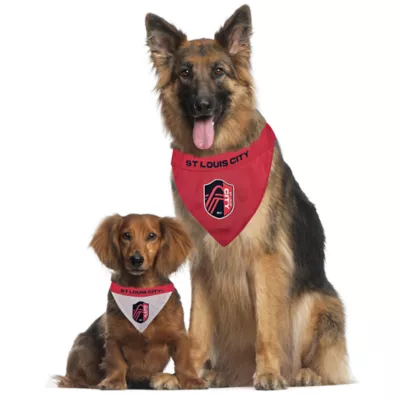 Pets First St. Louis SC Reversible Bandana - Image 2