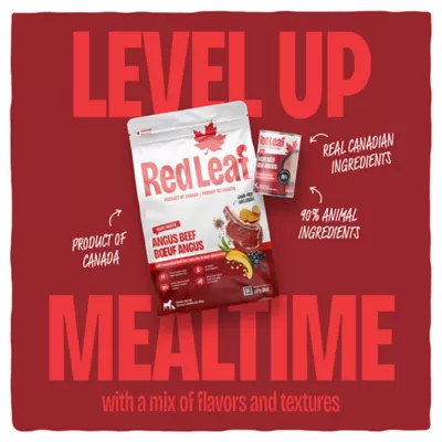 Red Leaf Angus Beef Pâté Dog Food, 369g - Image 4
