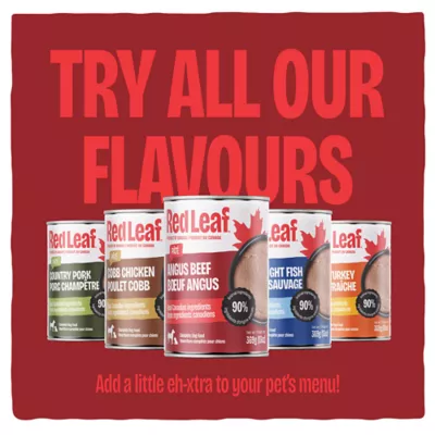 Red Leaf Angus Beef Pâté Dog Food, 369g - Image 6