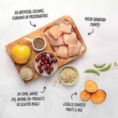 Red Leaf Fresh Turkey Dry Dog Food - Image 3