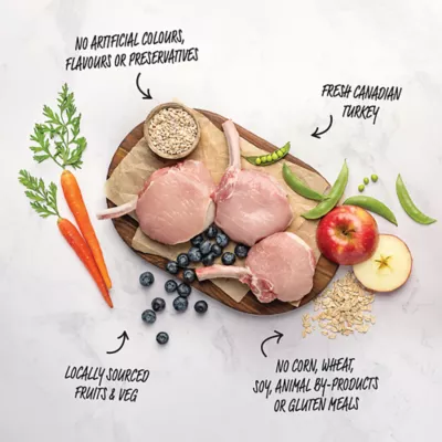 Red Leaf Country Pork Dry Dog Food - Image 3