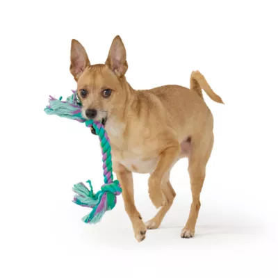 Joyhound® Value Rope Dog Toy - Image 3
