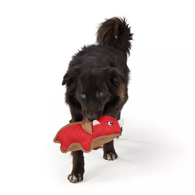 Joyhound 3D Rip Roarin' Triceratops Tough Dog Toy - Image 3