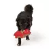Joyhound 3D Rip Roarin' Triceratops Tough Dog Toy image thumbnail 3