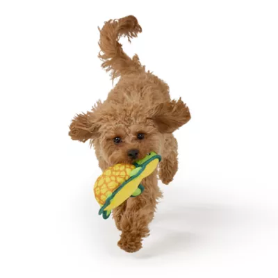 Joyhound 3D Rip Roarin' Turtle Tough Dog Toy - Image 3