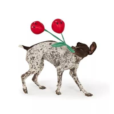 Life Of The Party XL Plush Cherries Dog Toys - Image 2